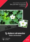 3-Datura Stramoine